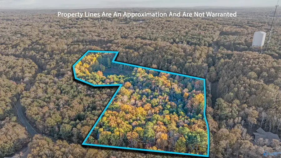 Lot 4 County Road 166, Fort Payne, AL 35967 - #2