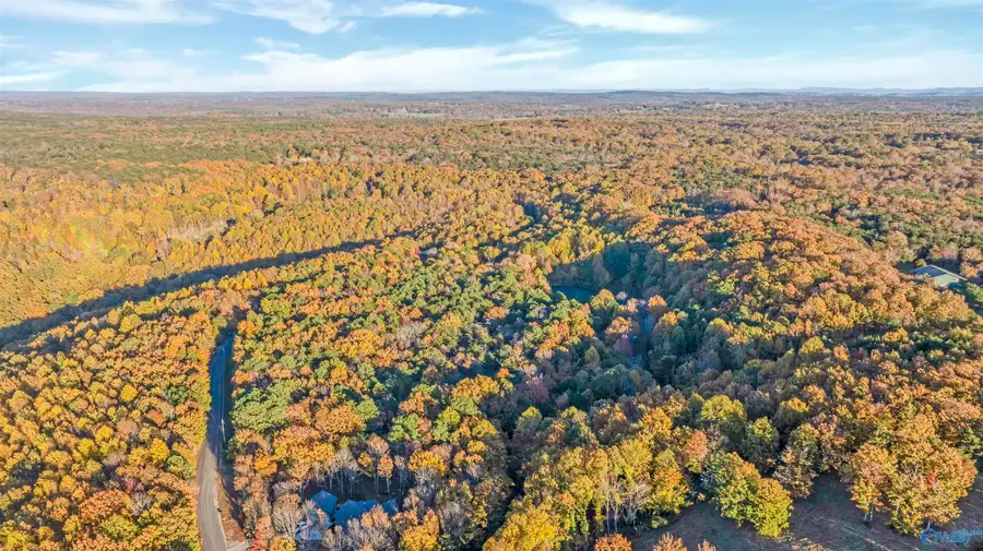 Lot 4 County Road 166, Fort Payne, AL 35967 - #3