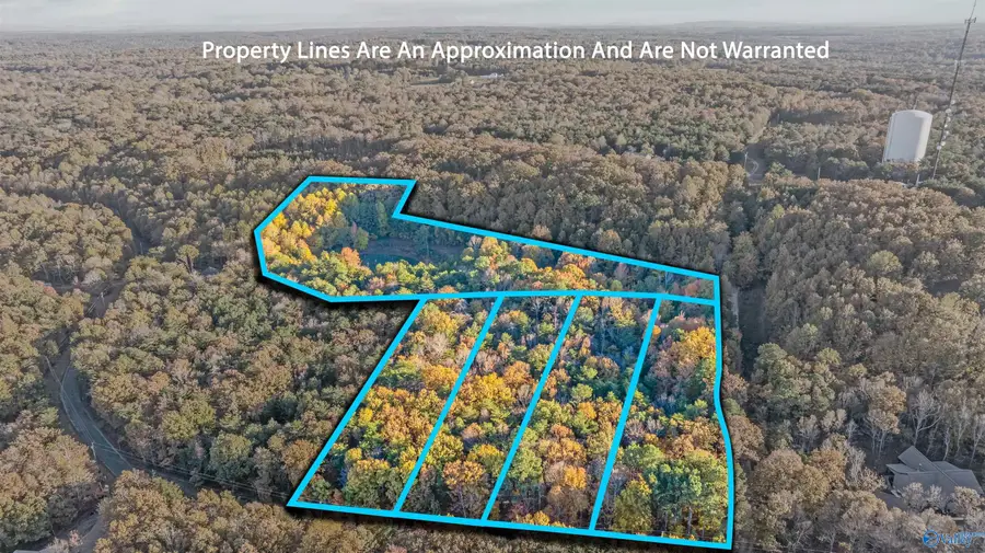 Lot 6 County Road 166, Fort Payne, AL 35967 - #2