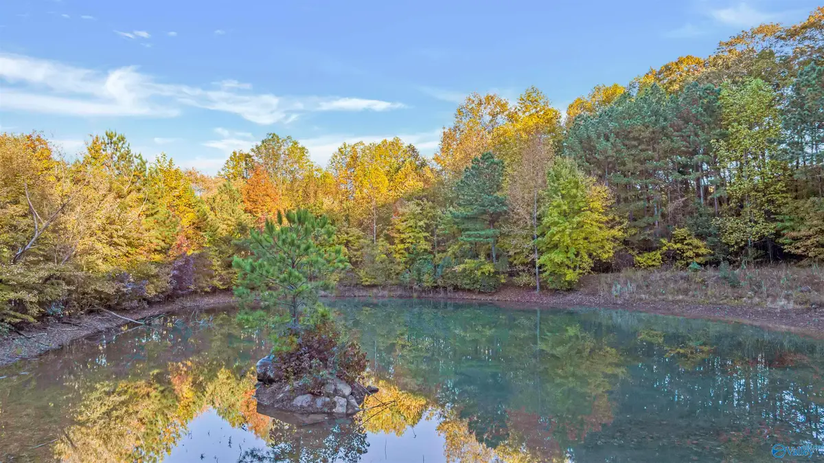 4.6 ac County Road 166, Fort Payne, AL 35967 - #1