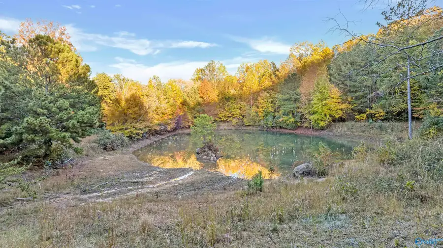 4.6 ac County Road 166, Fort Payne, AL 35967 - #2