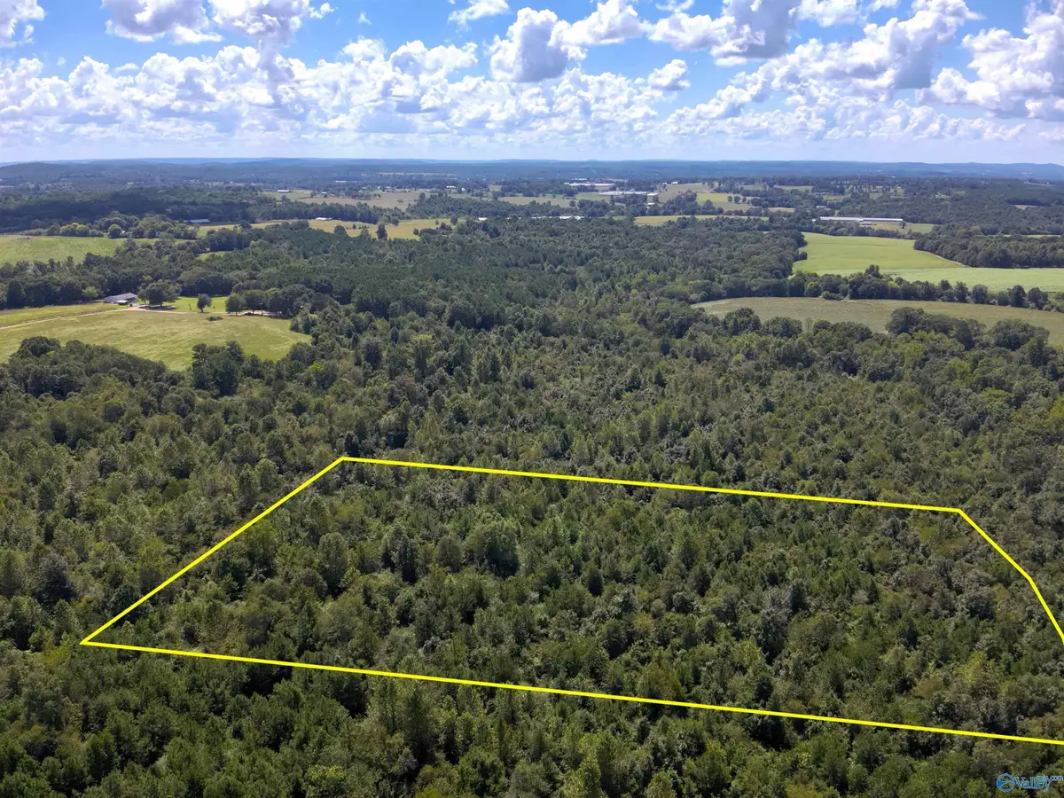 Lot 4 New Harmony Road, Arab, AL 35016 - #1