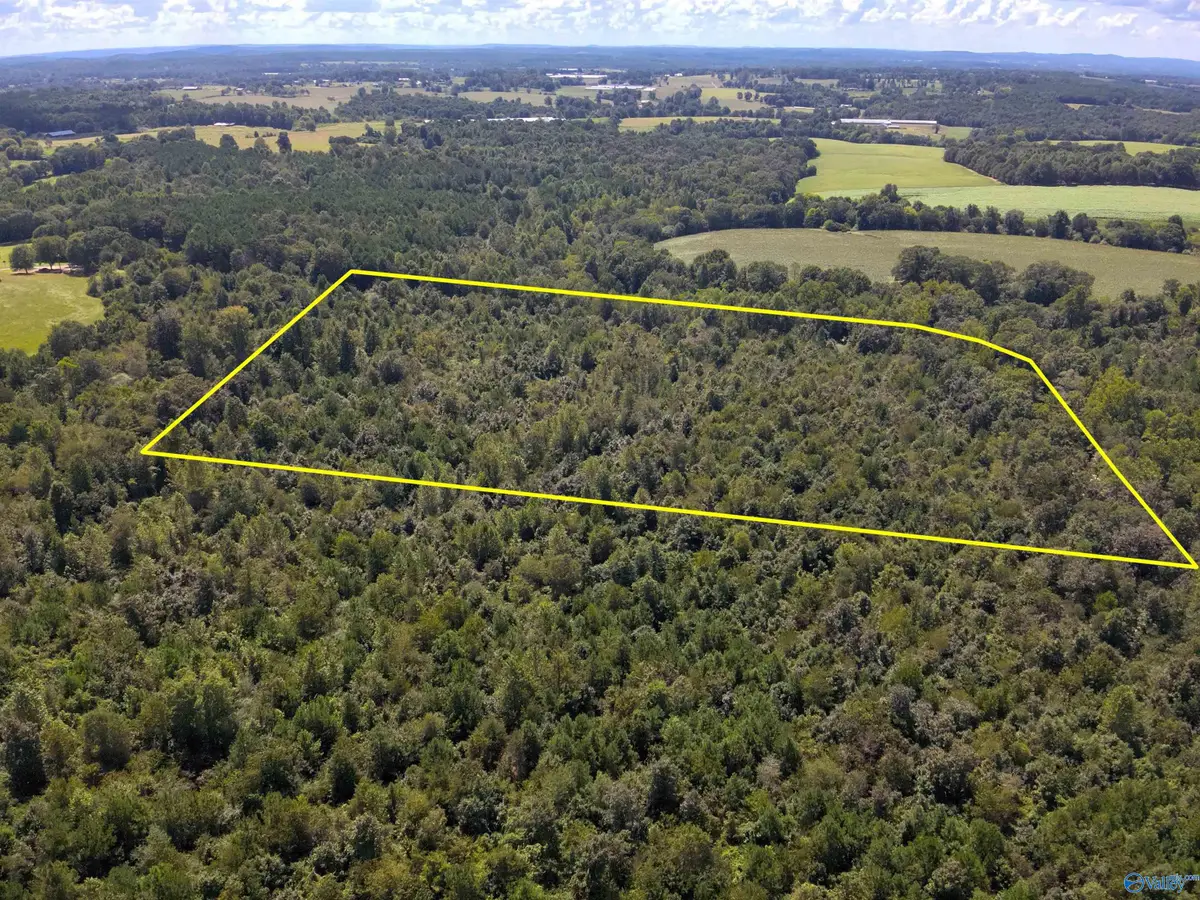 Lot 5 New Harmony Road, Arab, AL 35016 - #1