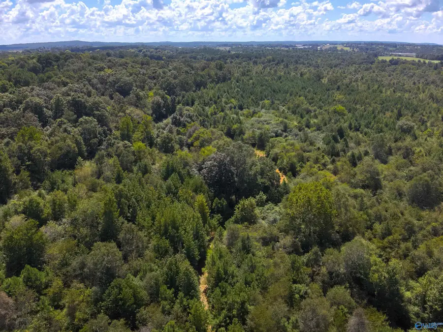 Lot 5 New Harmony Road, Arab, AL 35016 - #2