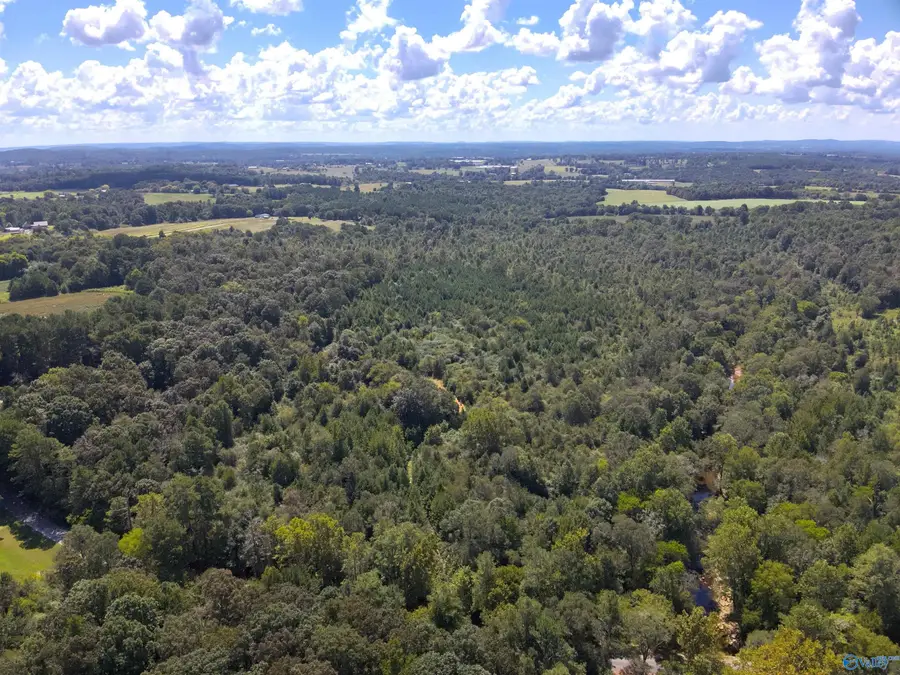 Lot 5 New Harmony Road, Arab, AL 35016 - #3