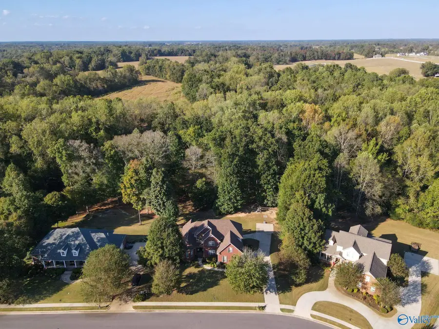 24755 Richmond Drive, Athens, AL 35613 - #3