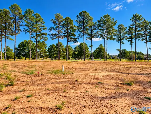 24424 Carnoustie Drive, Athens, AL 35613