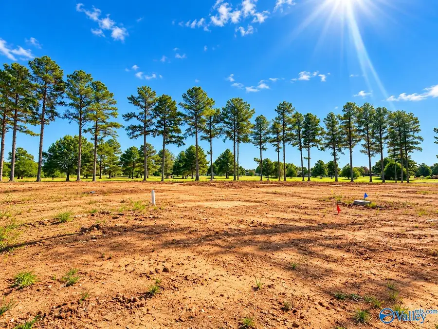 24424 Carnoustie Drive, Athens, AL 35613 - #3