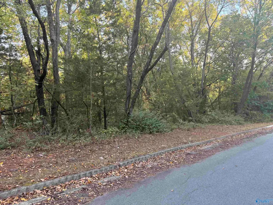 15008 Greentree Trail Se, Huntsville, AL 35803 - #3