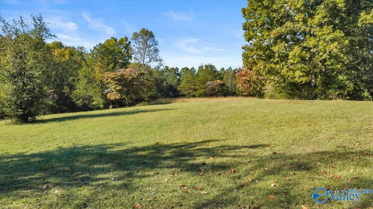 1289 County Road 52, Collinsville, AL 35961 - #1