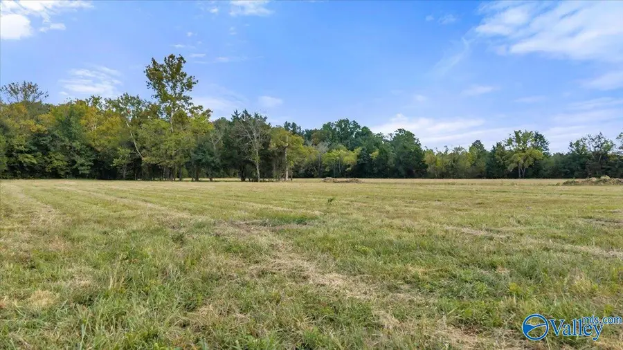 16.8 acres Alabama State Highway 36, Danville, AL 35619 - #2