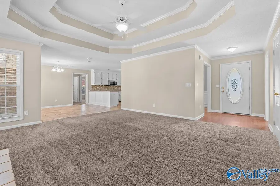 185 Raspberry Way, Madison, AL 35757 - #3