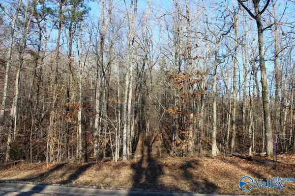 NA Raintree Drive, Centre, AL 35960