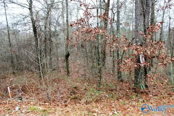Lot 5 Quail Drive, Centre, AL 35960