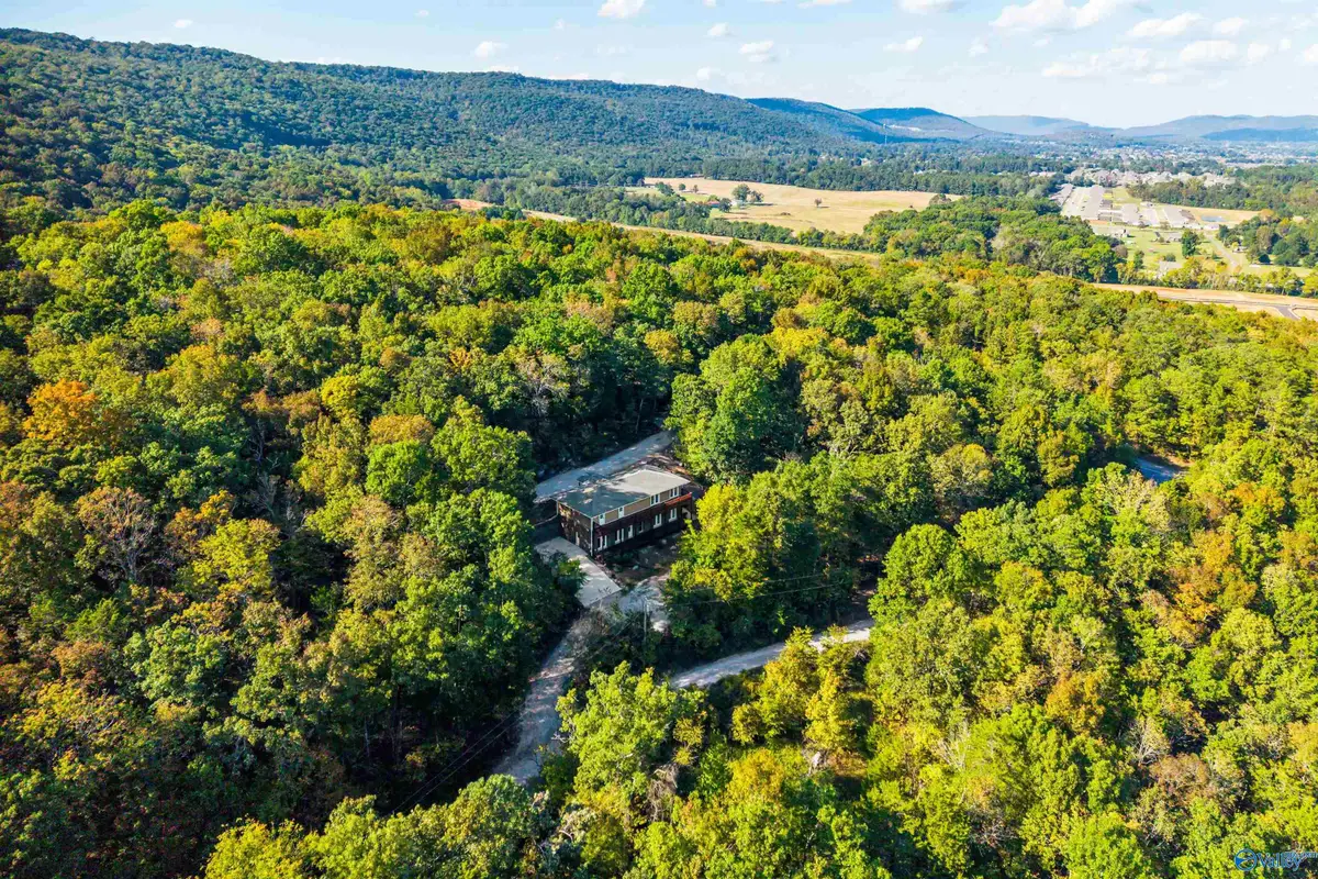 497 South Green Mountain Road, Owens Cross Roads, AL 35763 - #1