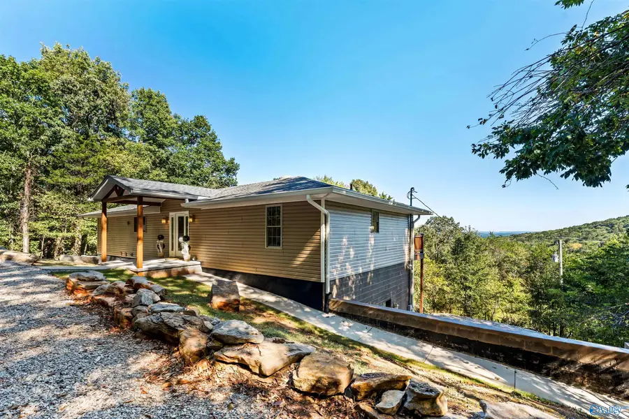 497 South Green Mountain Road, Owens Cross Roads, AL 35763 - #2