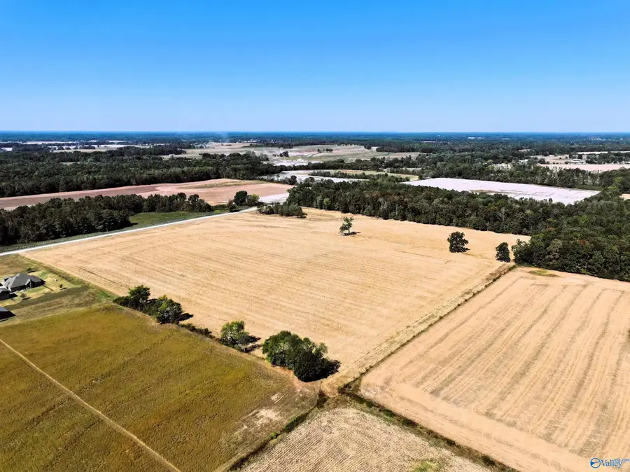 20360 Sharp Road, Athens, AL 35613 - #3