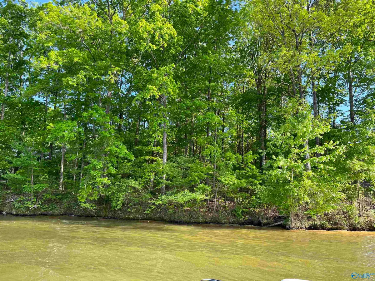 Lot 4 County Road 489, Centre, AL 35960 - #1