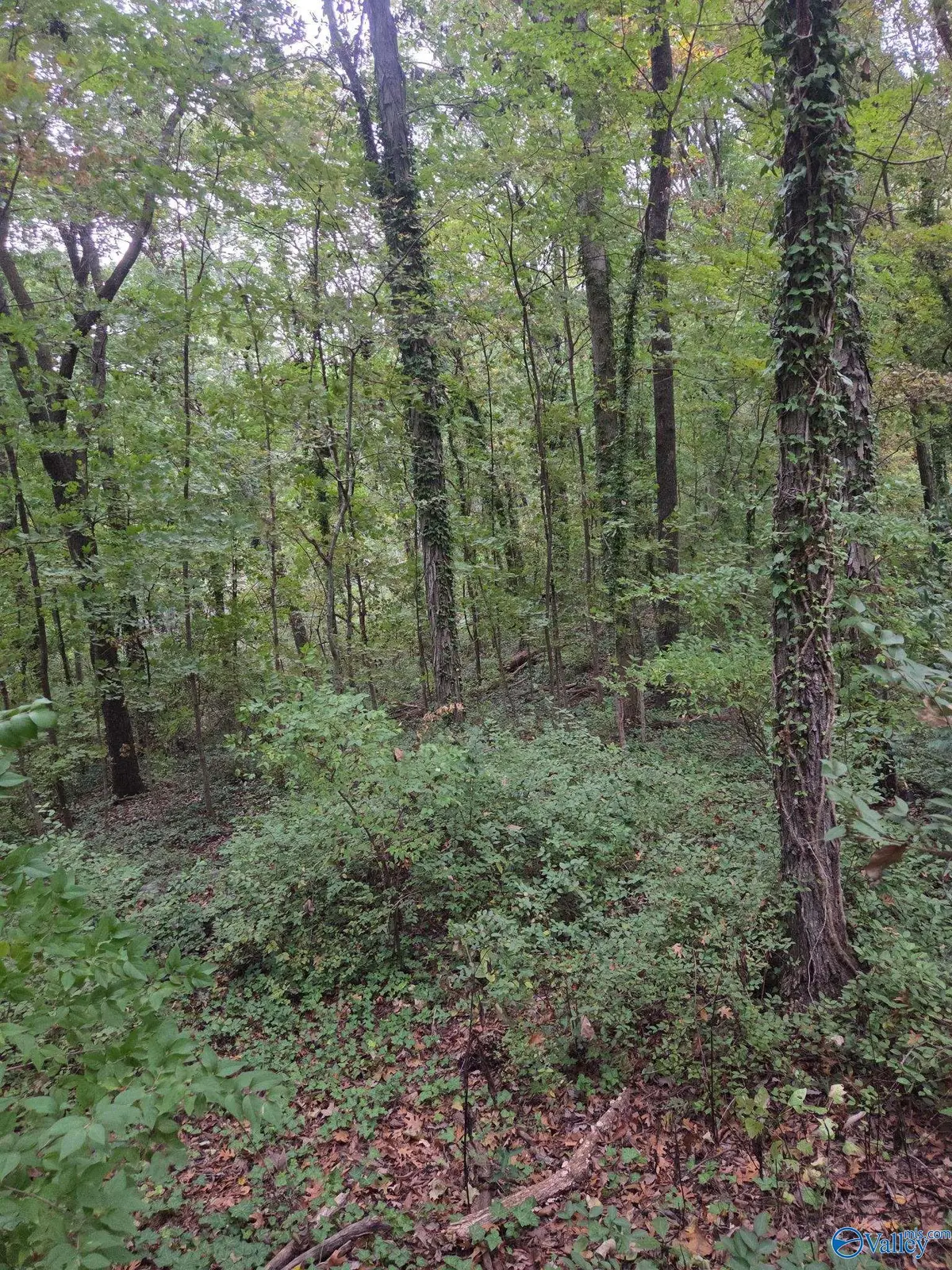 703 Chambers Drive Ne, Huntsville, AL 35801 - #1
