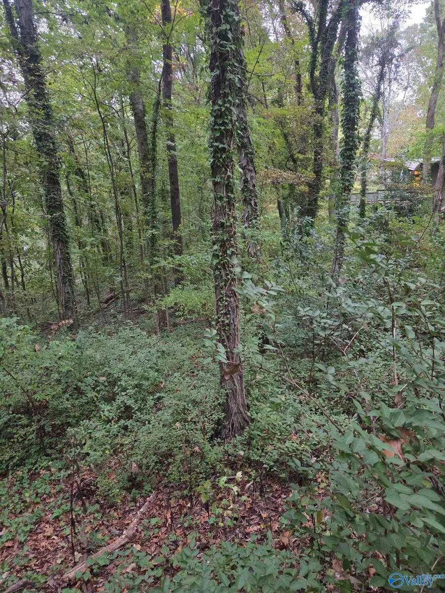703 Chambers Drive Ne, Huntsville, AL 35801 - #2