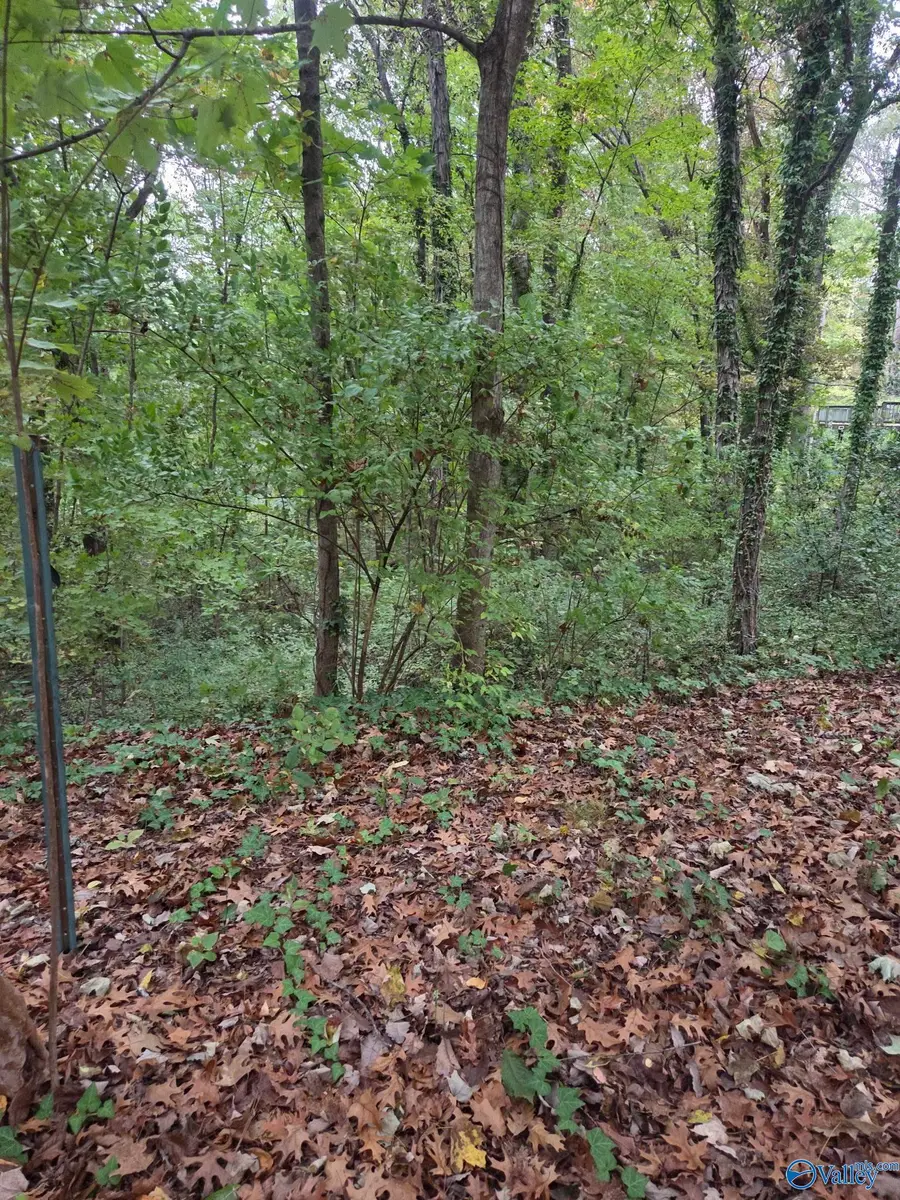 703 Chambers Drive Ne, Huntsville, AL 35801 - #3