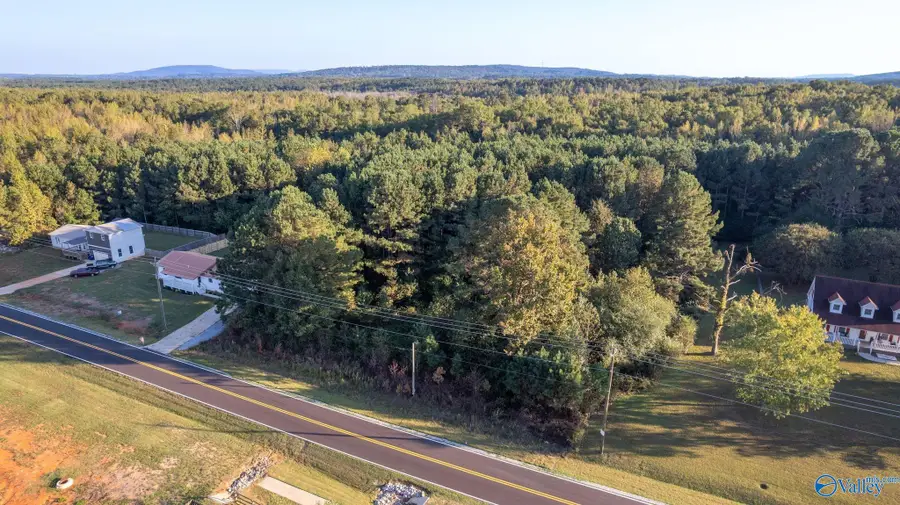 436 Will Raby Road, Toney, AL 35773 - #2