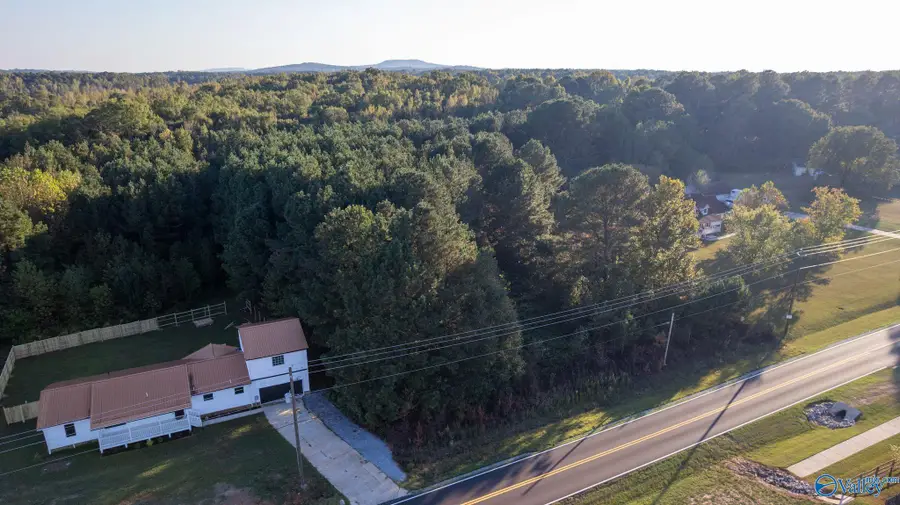 436 Will Raby Road, Toney, AL 35773 - #3