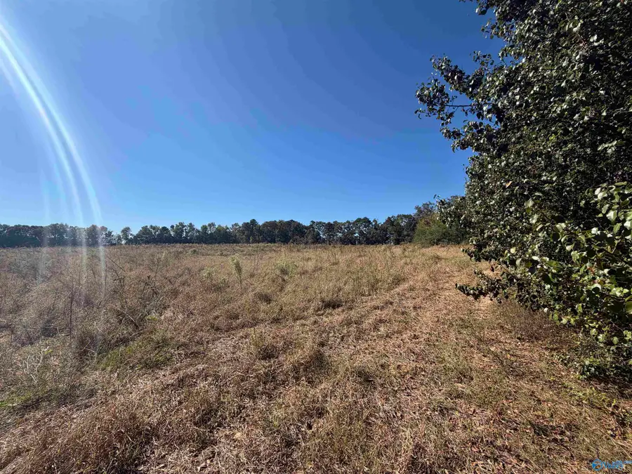 22 acres Moon Road, Horton, AL 35980 - #2