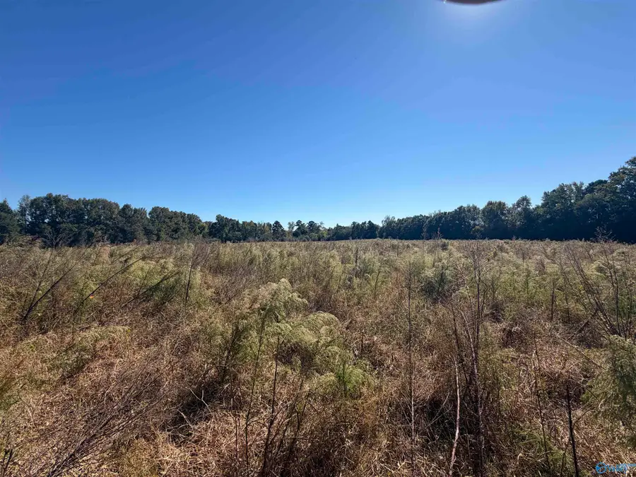 22 acres Moon Road, Horton, AL 35980 - #3