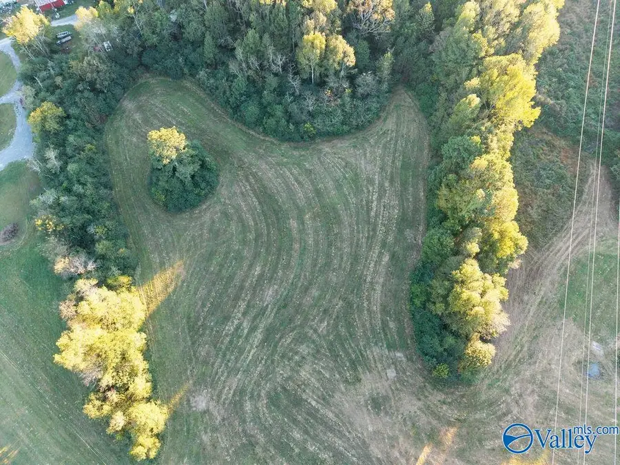 14 acres Hwy 67, Joppa, AL 35087 - #2