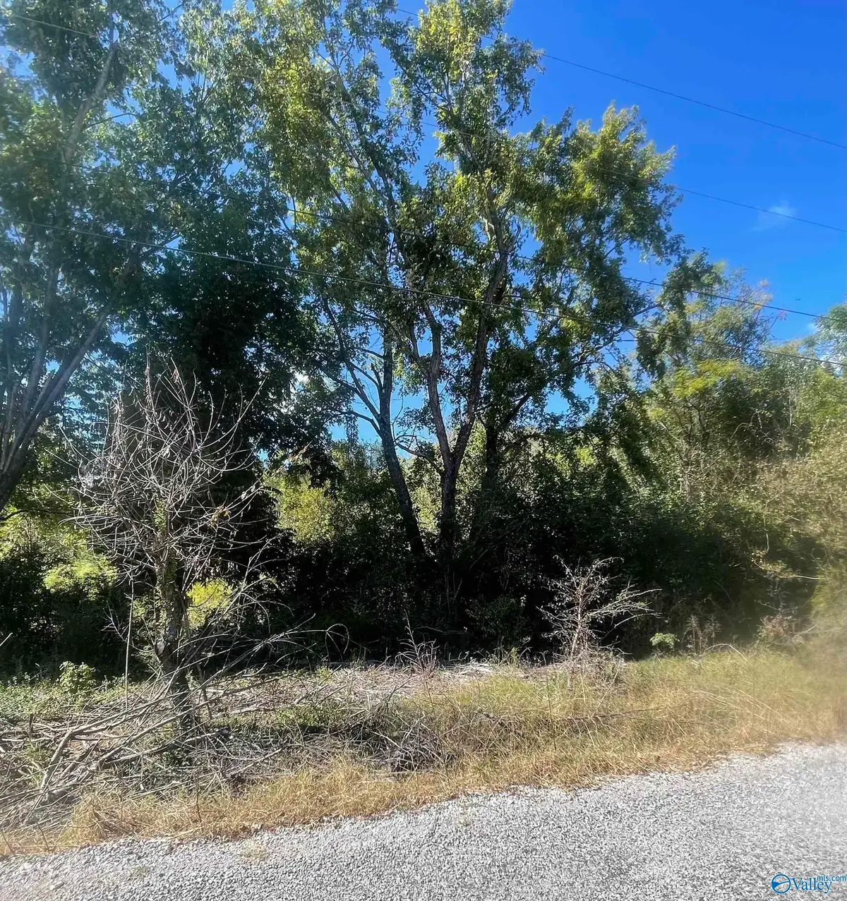 1443 County Road 436, Hillsboro, AL 35643 - #1