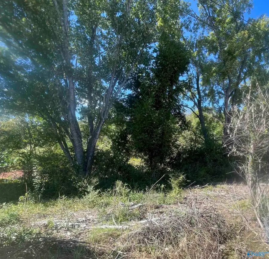 1443 County Road 436, Hillsboro, AL 35643 - #2