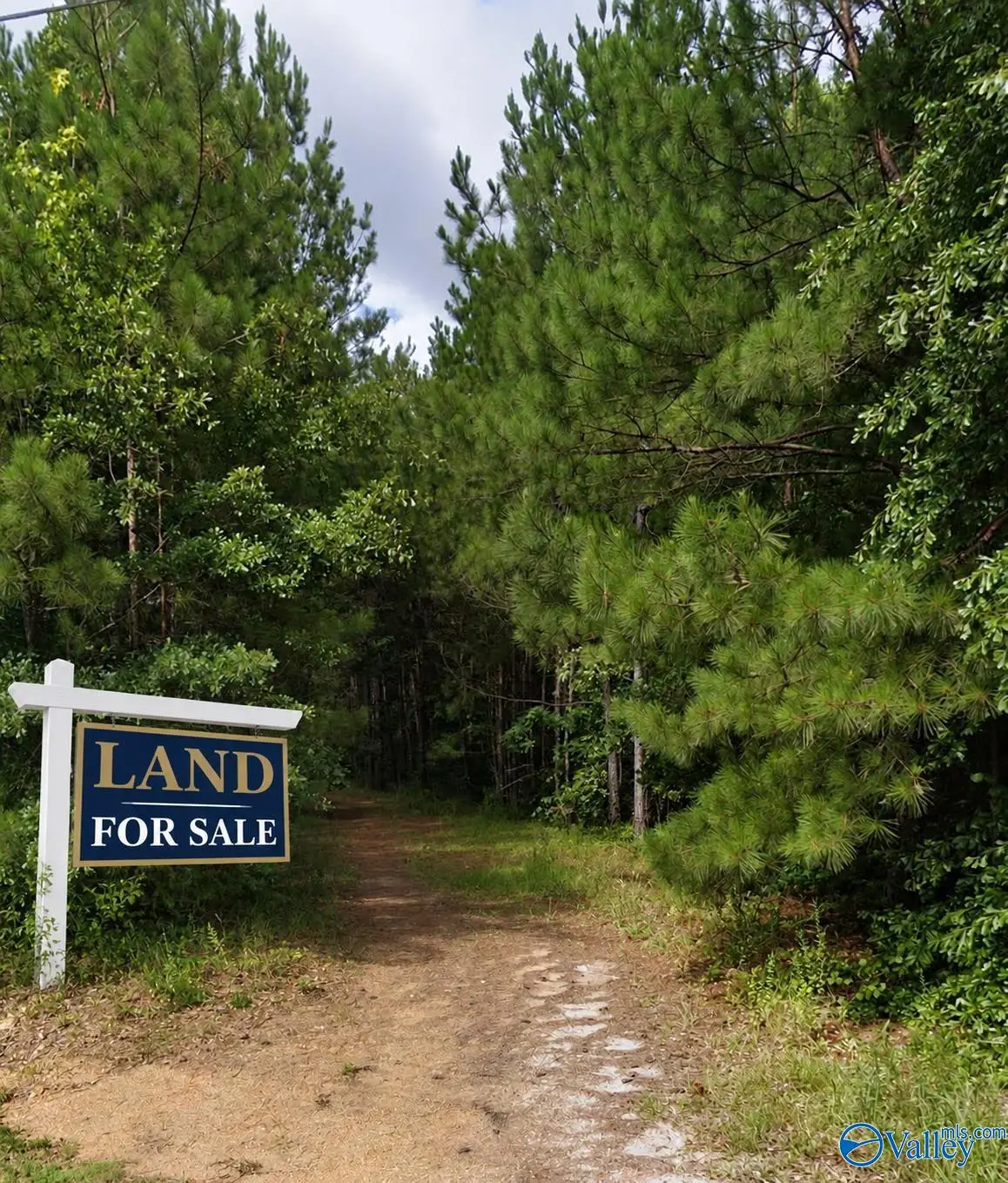 130 Seminole Trail, Ohatchee, AL 36271 - #1