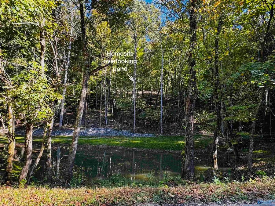6.5 Butler Mill Road, Grant, AL 35747 - #3