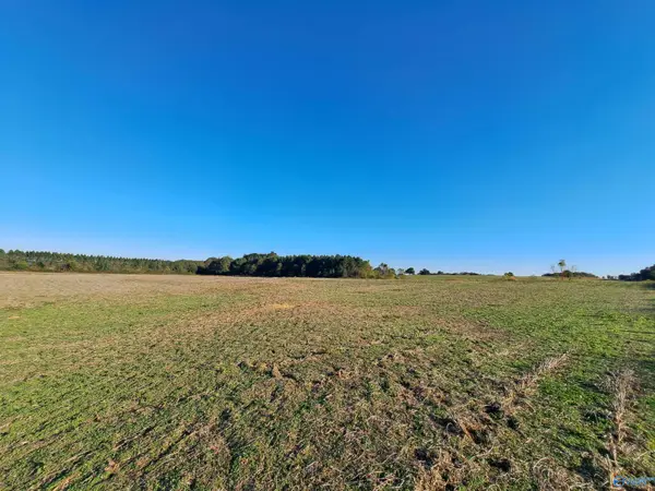 10.95 Acres County Road 96, Rogersville, AL 35652