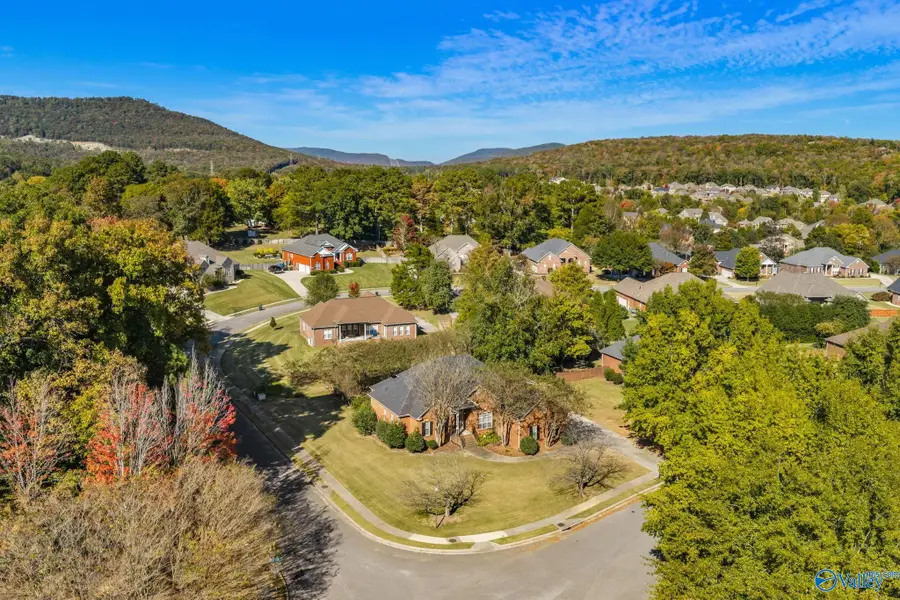 4405 Hidden Lakes Drive, Owens Cross Roads, AL 35763 - #2