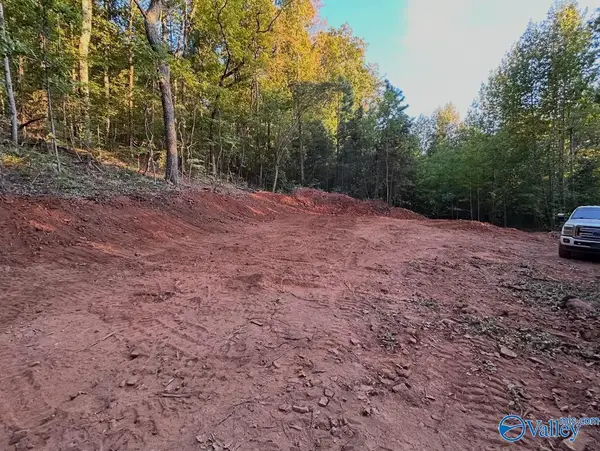386 Creekview Drive, Rainbow City, AL 35906