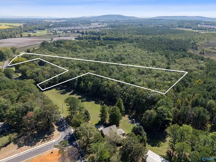 13 Acres Beaver Dam Road, Toney, AL 35773 - #2