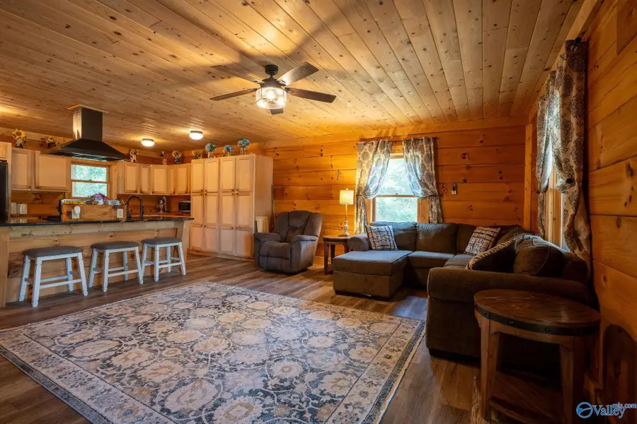 2323 County Road 131, Bryant, AL 35958 - #3