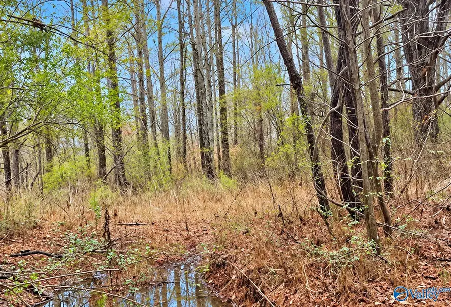 lot 0 County Road 1125, Vinemont, AL 35179 - #2