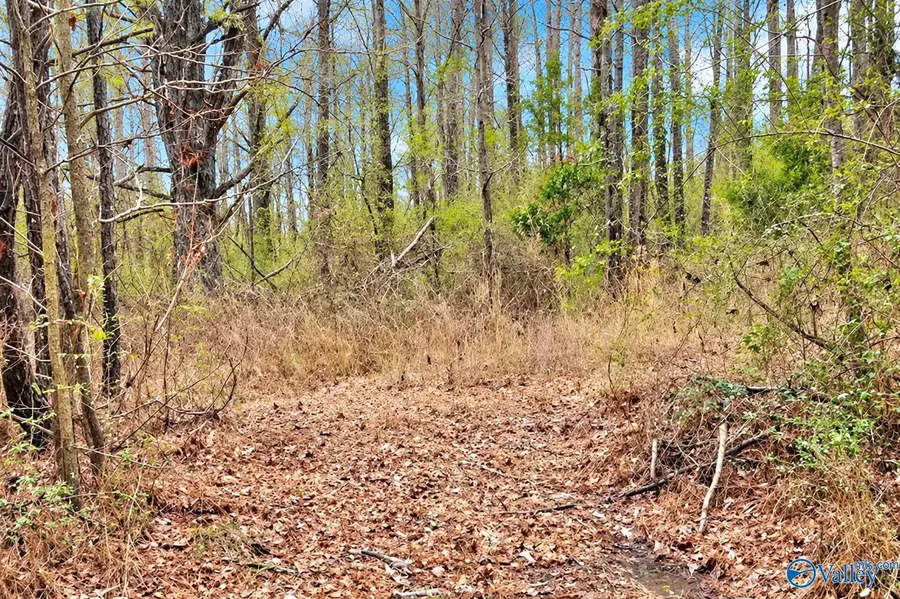 lot 0 County Road 1125, Vinemont, AL 35179 - #3