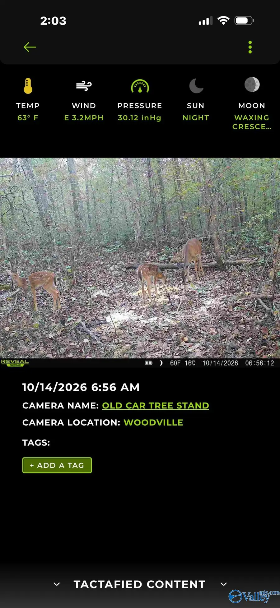 50 a County Road 7, Woodville, AL 35776 - #3