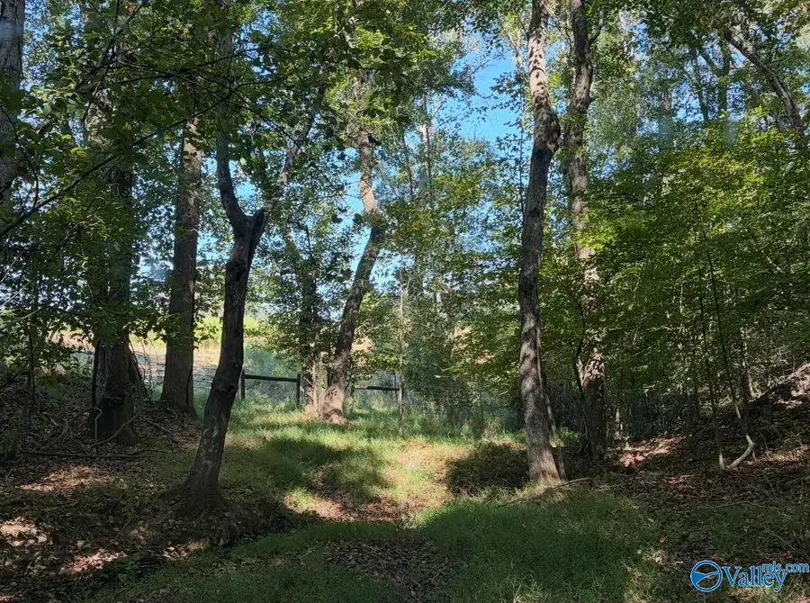 15 acres Davis Hollow Road, Minor Hill, TN 38473 - #2