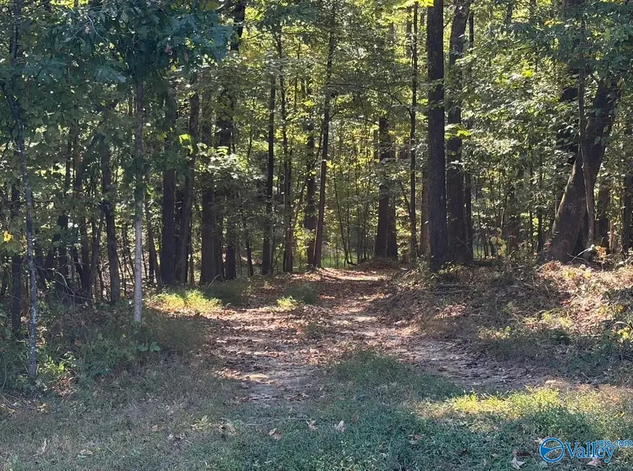 15 acres Davis Hollow Road, Minor Hill, TN 38473 - #3