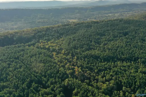 110 AC Mountain Drive, Remlap, AL 35133