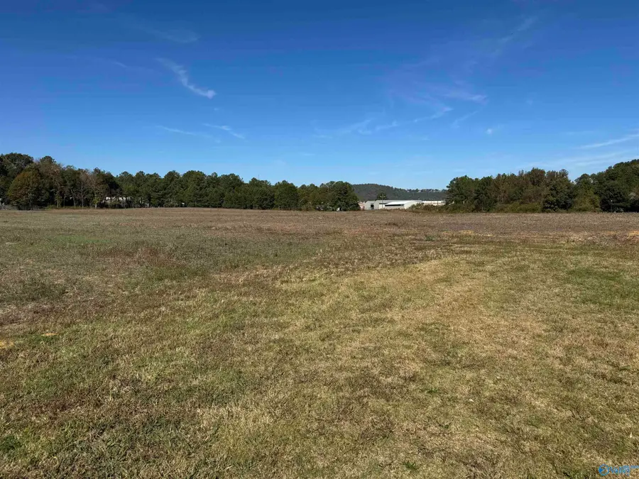12.4 Acres La Rue Finis, Leesburg, AL 35983 - #2