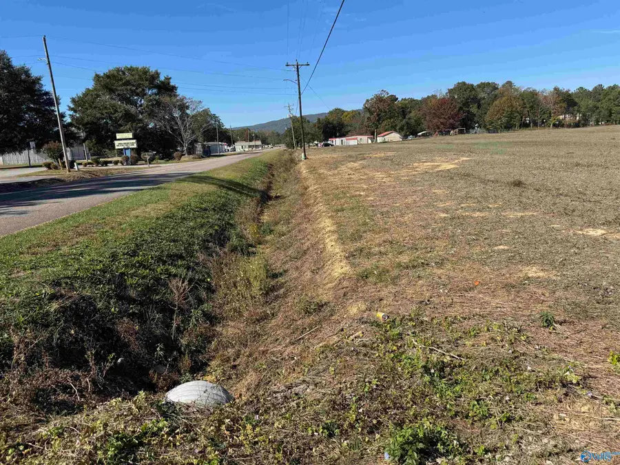 12.4 Acres La Rue Finis, Leesburg, AL 35983 - #3