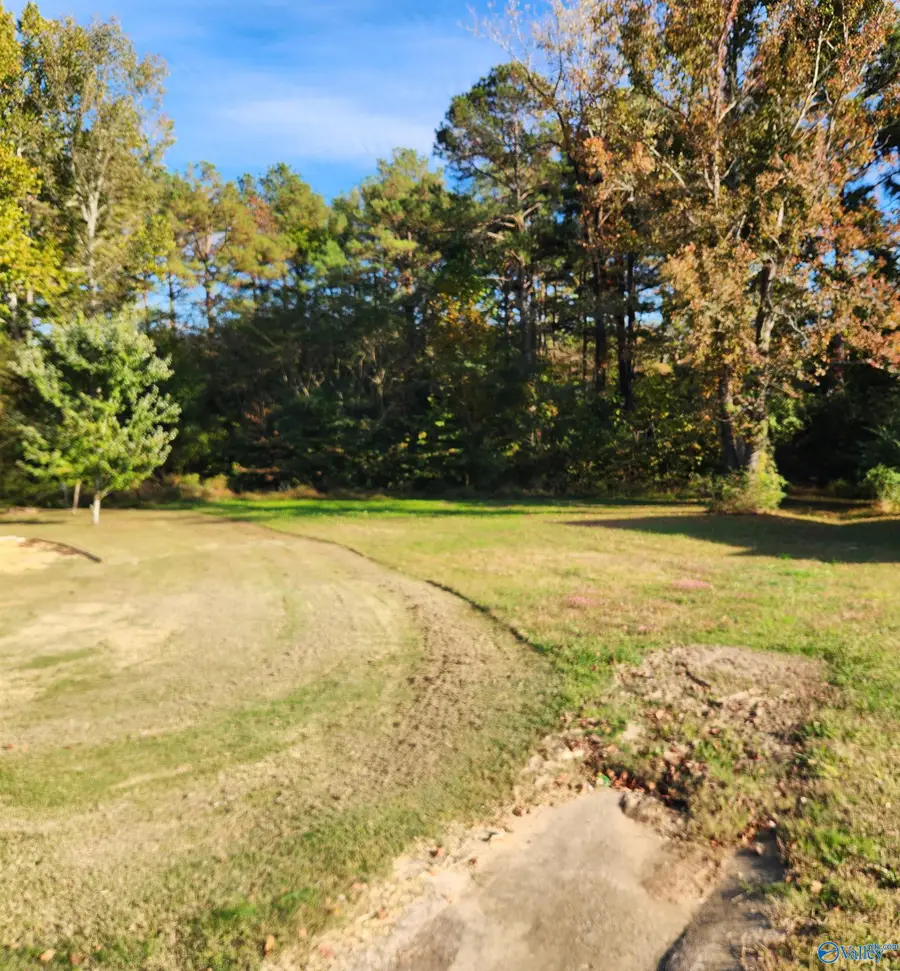 Lot 12 Robin Court, Hartselle, AL 35640 - #3