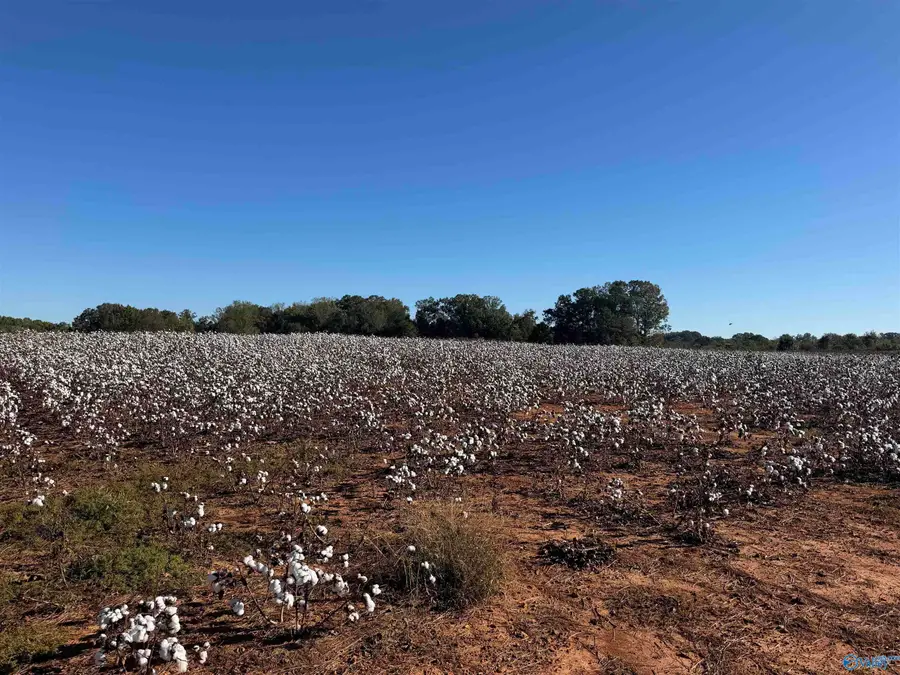 7.5 Acres Dement Road, Athens, AL 35611 - #2