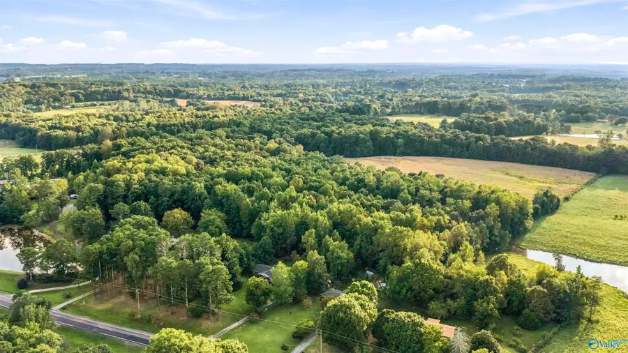 20 acres Alabama Highway 117, Ider, AL 35981 - #2